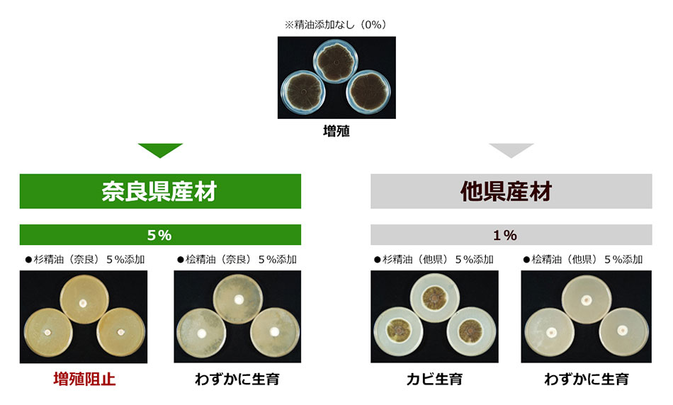 カビの生育抑制